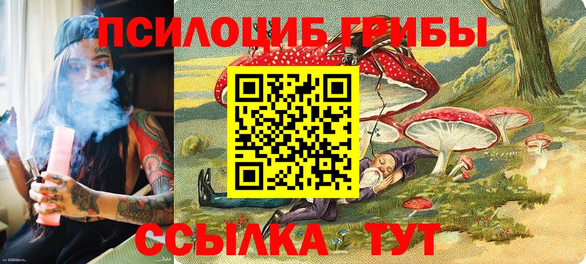 Псилоцибиновые грибы Psilocybine cubensis Назарово