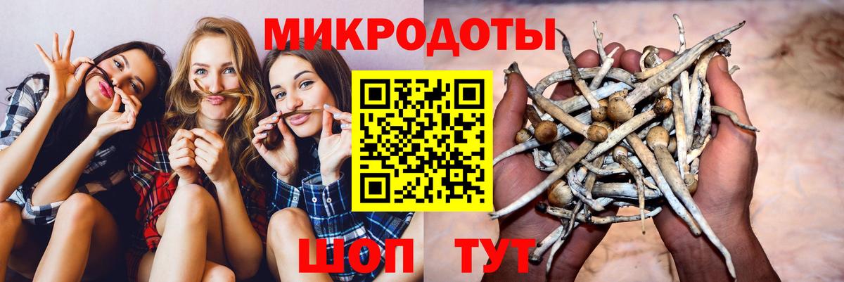 как найти   Вход с VPN  Назарово  Галлюциногенные грибы мухоморы 