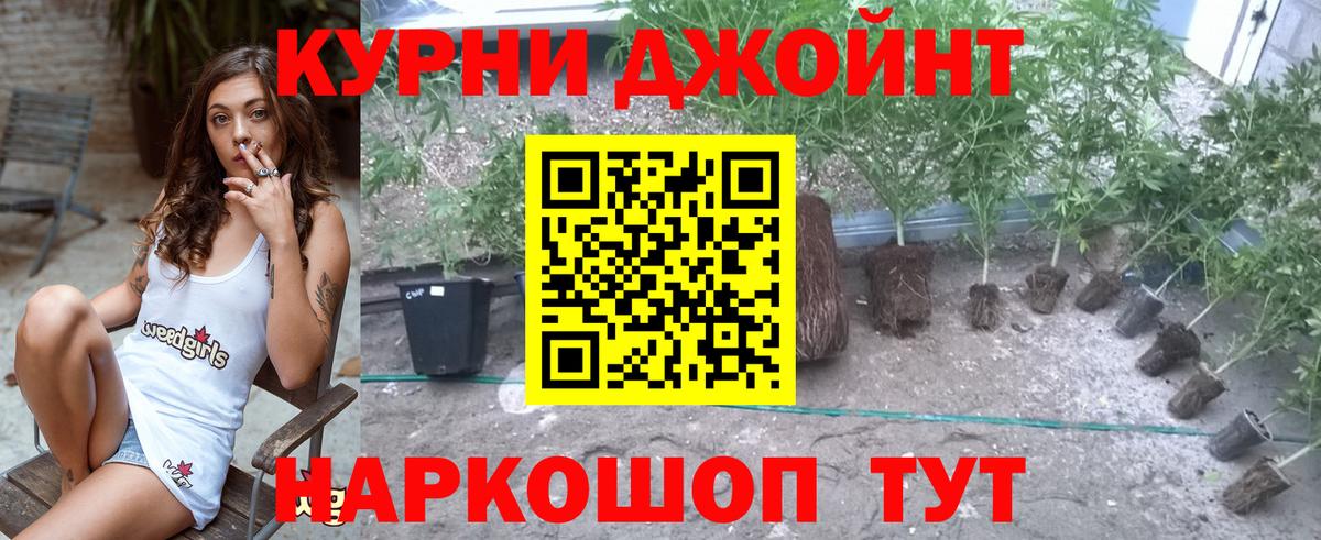 Назарово  МАРИХУАНА Amnesia  Вход с VPN  Каннабис тримм  Конопля планчик 